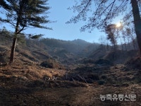 [기자탐방] 지금은 산지생태축산 시대! 채운농원을 찾다