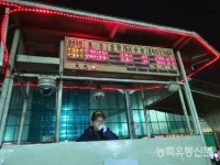 가락시장 수입 양배추 경매소식에 농가 분위기 격양