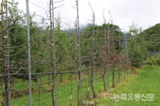 농민 뒤통수치려다 딱 걸린 농협손해보험