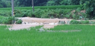 임실군, 덕치면 인근 하천 범람 위기...임실군내 배수로 퇴적토사 긴급 준설 작업 필요해 보여