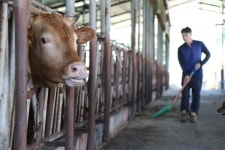 사료 하나 바꿨을 뿐인데 한우 등급 훌쩍···착한 사료 좋은 유통, 써보니 캬~