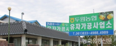 맛·향·건강 삼박자···한국 유자 맛에 푸른 눈 외국인도 깜짝