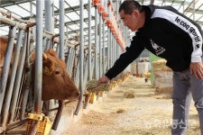 나 홀로 사육 시대 마감 농가 연대·조직적 품질관리 수출 원천