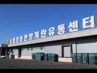 [영상PICK] 한국양계농협 계란! 이렇게 안전해요