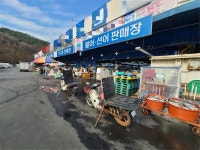대구 수산물도매시장 시장도매인 도입 후 회센터로 전락