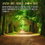 [카드뉴스]코로나 종식 후 힐링할 수 있는 명품숲