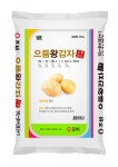으뜸왕감자 비료로 올 감자 풍년 예감