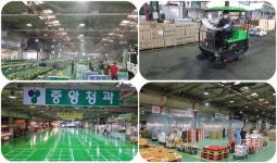 도매시장판 러브하우스 대구중앙청과 리모델링으로 반짝