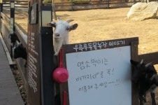 코로나 불황, 치유농업으로 이겨냈습니다