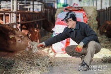 이런 사료 없다니께···가성비 엄지척 한우 등급도 훌쩍