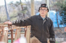 이런 사료 없다니께···가성비 엄지척 한우 등급도 훌쩍
