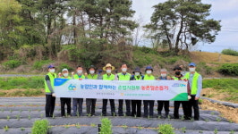 범농협 임직원 연일 농촌 현장서 구슬땀