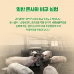 [FTA 시대 훌쩍 넘는 농업의 제3인류] 양돈농장 미래로 시간여행