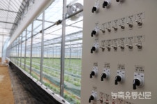 팜모닝은 핫한 디지털 참고서···농사에 데이터 접목하니 정밀농업 정주행