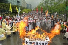 가금 산업 붕괴에도 방관자로 전락한 농식품부