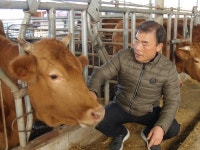 한우협회가 만든 사료로 등급 훌쩍 농가 웃음꽃