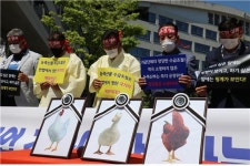 끝 모를 정부 억압·규제에 가금 산업 기반 무너져