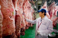 충북, 축산물 수급 안정화 도축수수료 지원