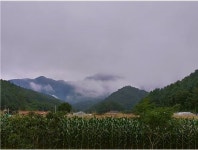 [최재관의 귀촌일기(歸村日記)-(31)]