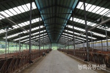 [박사골농장 김삼기 대표] 한우농장 얼리어답터···축산의 미래를 그리다