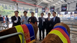 제14회 화순적벽 한우송아지능력평가대회 성료