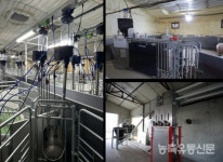 돼지표 러브하우스···선진 리모델링 최신식 농장 구현 오름율면