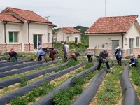 무주군, 체재형 가족실습농장 교육생 모집