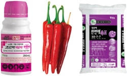 [월간 팜한농] 2월 추천제품 조르벡바운티·티탄대박고추·한번에측조