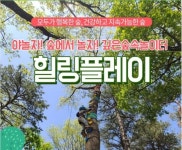 [기획특집]가을 숲에서 재밌게 놀자