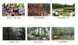 전북도, 에코힐링 1번지 조성 구체화 성큼