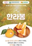 동화청과, 온라인도매시장 통한 거래 시작