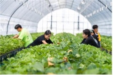 스마트농업 테스트베드 교육장 성과 나타나