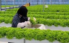 전남농기원, 청년농업인 경영실습 임대농장 사업 성과 발표