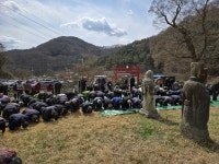 [전통과 혈통의 만남] 능성구씨 시조 삼중대광 검교상장군공 시제 봉행…전통과 뿌리를 잇다