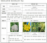 아카시아꿀(X) 아까시꿀(O), 바로 알고 먹어야 꿀맛