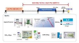 한우 럼피스킨 백신접종, 인공수정 14일전 수태율 안정화