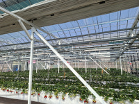 [현장을 가다] 농진청, 광량 보상 동적 보광 시스템