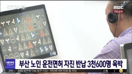 부산 노인 운전면허 자진 반납 3천600명 육박