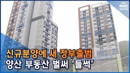 신규분양에 새 정부출범  양산 부동산 벌써 들썩