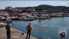 동백항 차량 추락 살인 혐의 친오빠 숨진 채 발견