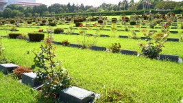 25일 유엔기념공원 6·25전쟁 유엔전몰용사 추모제