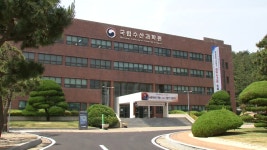 국립수산과학원 올해 남해안 멸치 풍어 가능성 높아