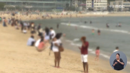 기장 임랑해수욕장에 해파리 10여 마리 출현...37명 쏘임 사고