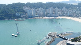 부산시, 어린 감성돔 28만 마리 방류