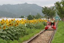 남도일보 황금연휴 레저-곡성