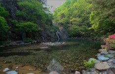 전남 담양 용소·신안 대리 당숲 국가산림문화자산 지정
