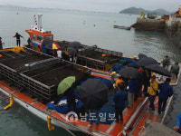 진도 청정해역 햇 김 첫 생산