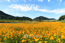 장성 황룡강 사계절 체류형 복합 휴양지로 탈바꿈