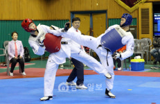 강진서 국가대표선수 선발 태권도대회 개최