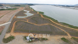 해남 구성지구 간척지 숲 복원 신공법